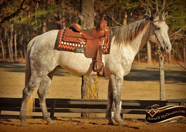 farm hopper horse