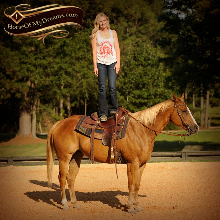 015-Noah-Sorrel-Flaxen-mane-quarter-horse-for-sale | Horse of My Dreams