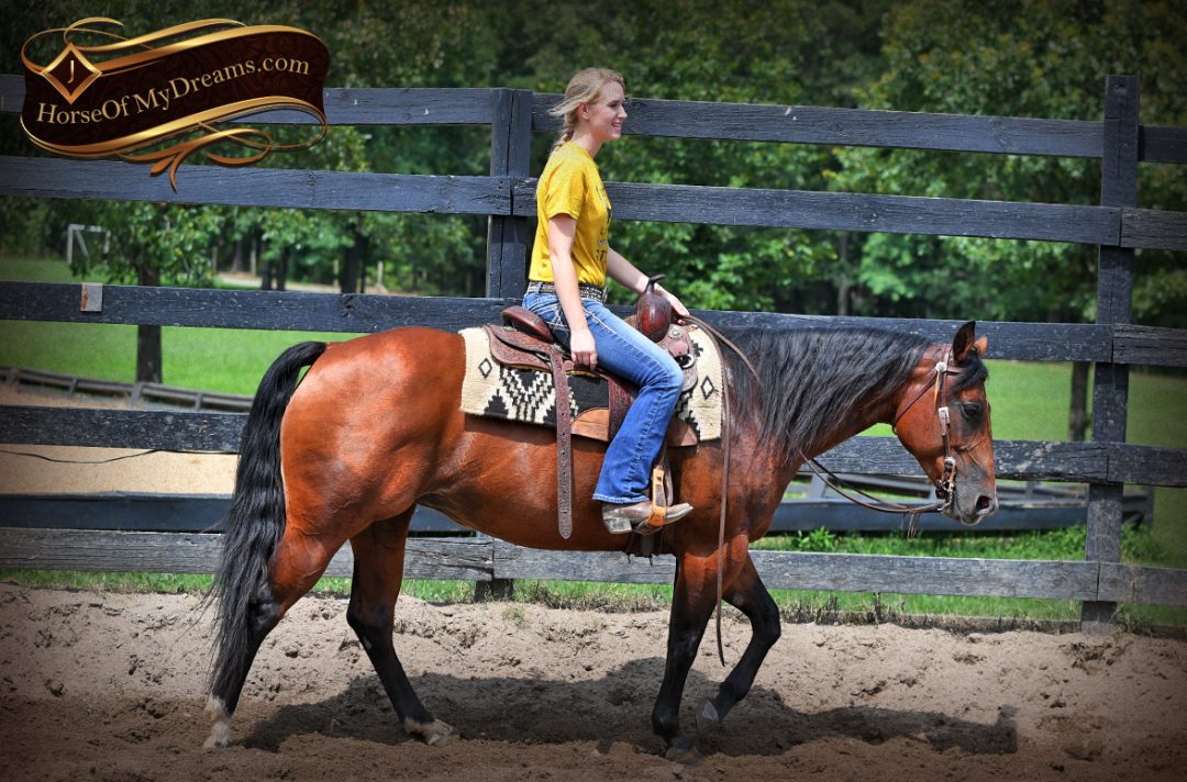 003-Lena-Bay=AQHA-Playgun-Mare-For-Sale | Horse of My Dreams