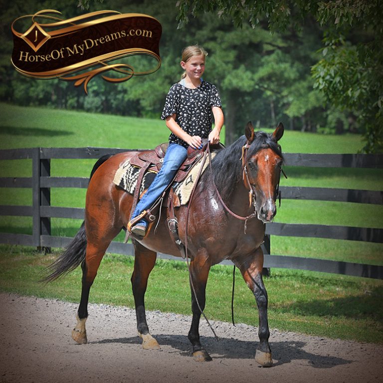 020-Lena-Bay=AQHA-Playgun-Mare-For-Sale | Horse of My Dreams