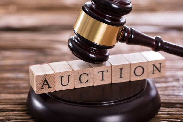 How to Protect Yourself from Shill Bidding in Horse Auctions